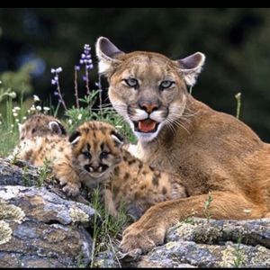 Meet your Posher, Ann